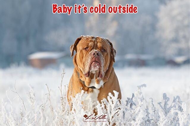 It's getting colder outside ?