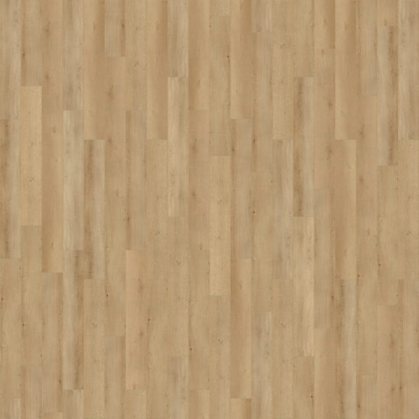 Cali Vinyl Longboards Sandbar Oak Sample - LaValle Flooring
